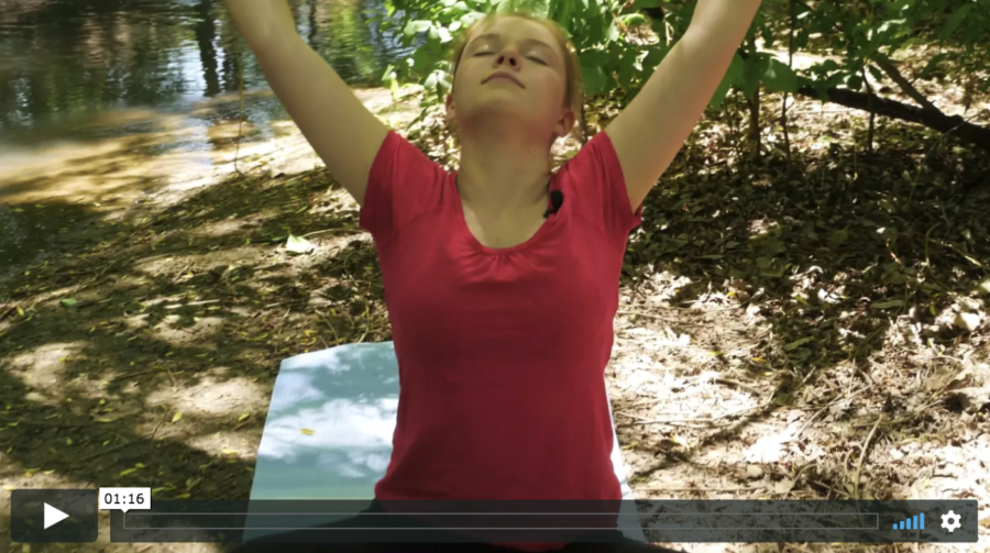 Classroom Streaming Video Series for Movement and Mindfulness Education